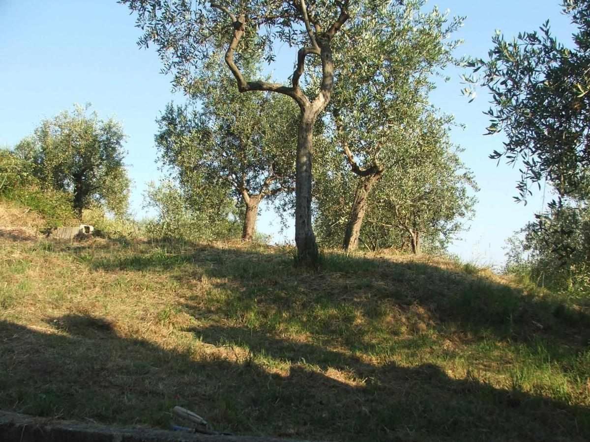 La Casetta Di Sofia Монелья Екстер'єр фото